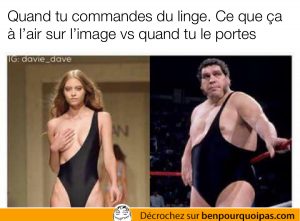 Quand tu commandes des vêtements en ligne