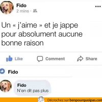Si mon chien pouvais poster sur Facebook