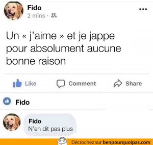 Si mon chien pouvais poster sur Facebook