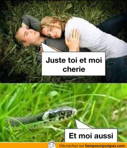 Quand une troisième partie se joint à une journée romantique dans les prés
