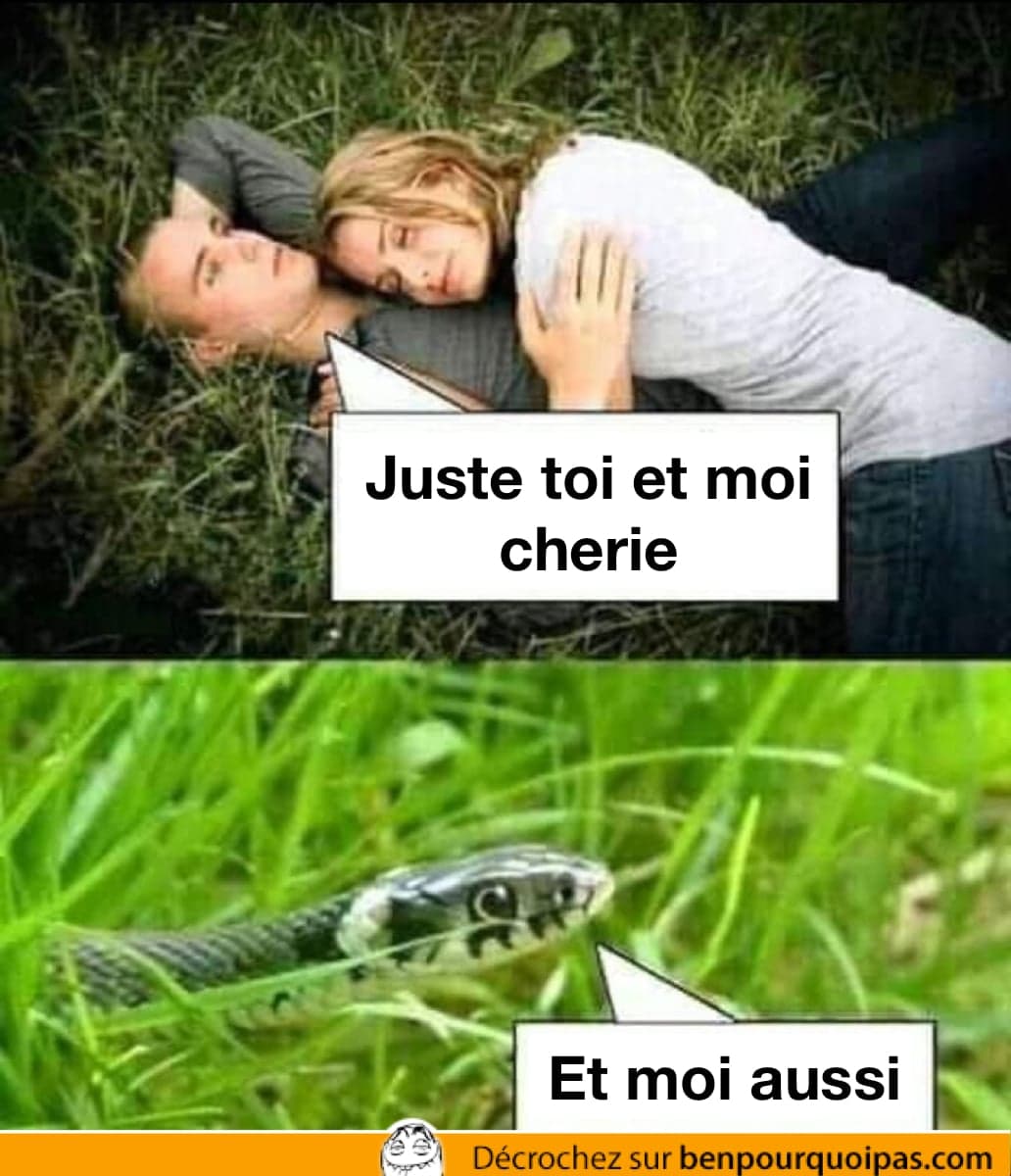 Quand une troisième partie se joint à une journée romantique dans les prés