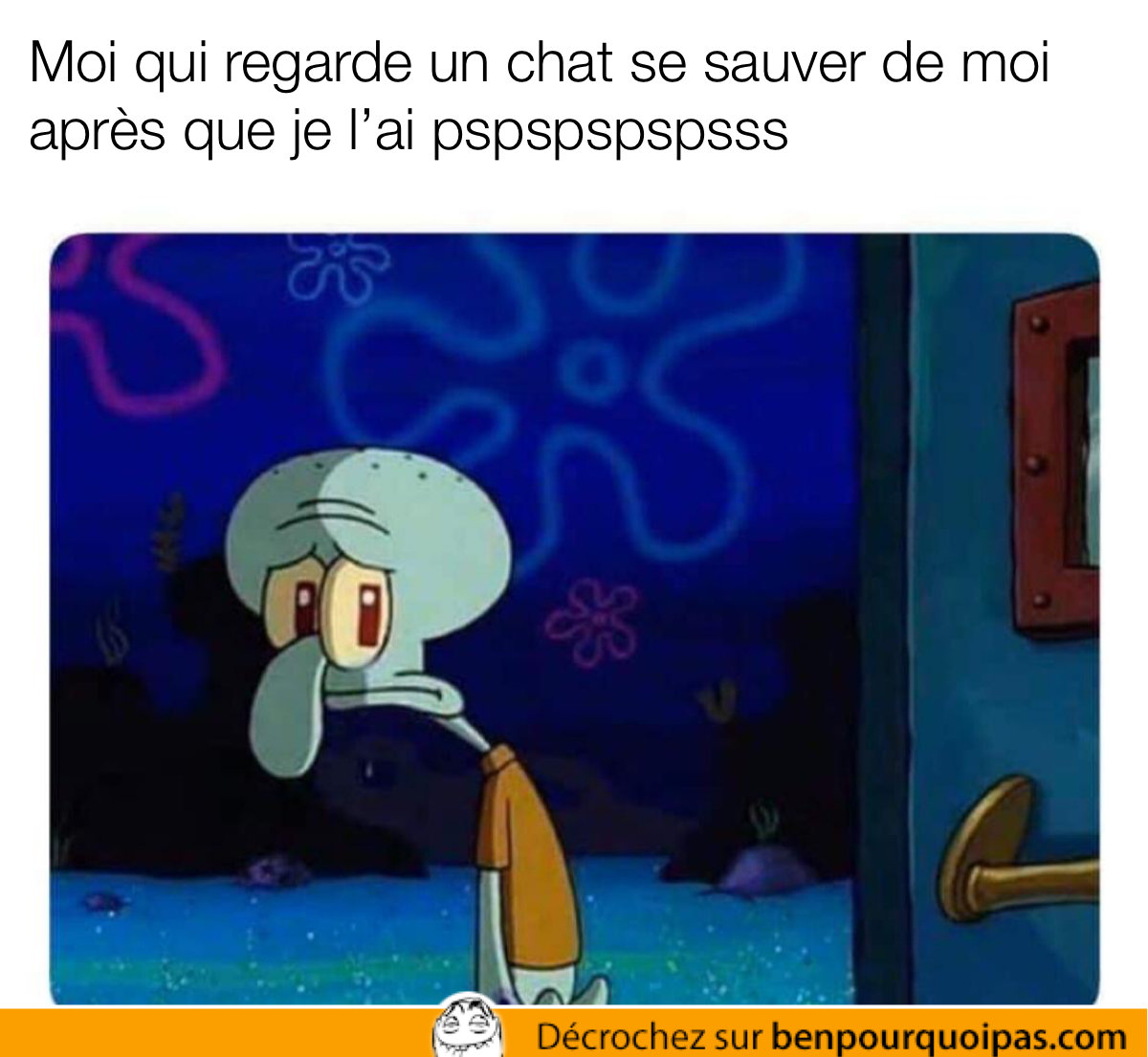 personnage de bob l'éponge est déçu