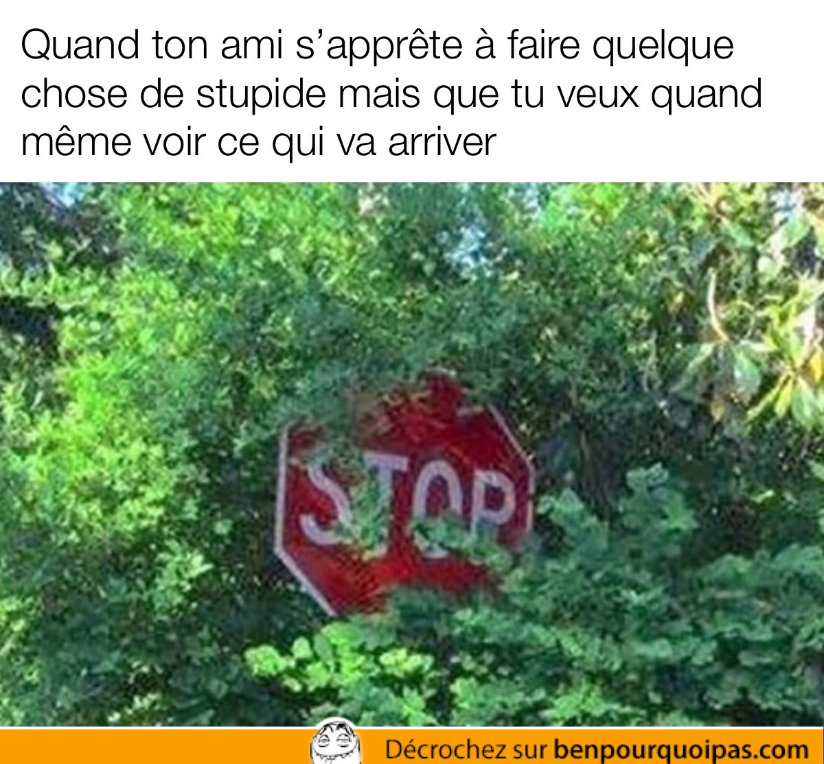 Quand ton ami va faire quelque chose de stupide et que tu veux voir comment ça va finir