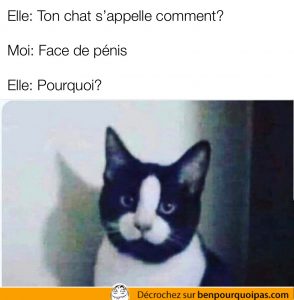 Pourquoi t'as appelé ton chat tête de gland?