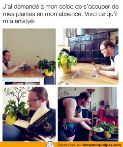 un homme lis une histoire à sa plante