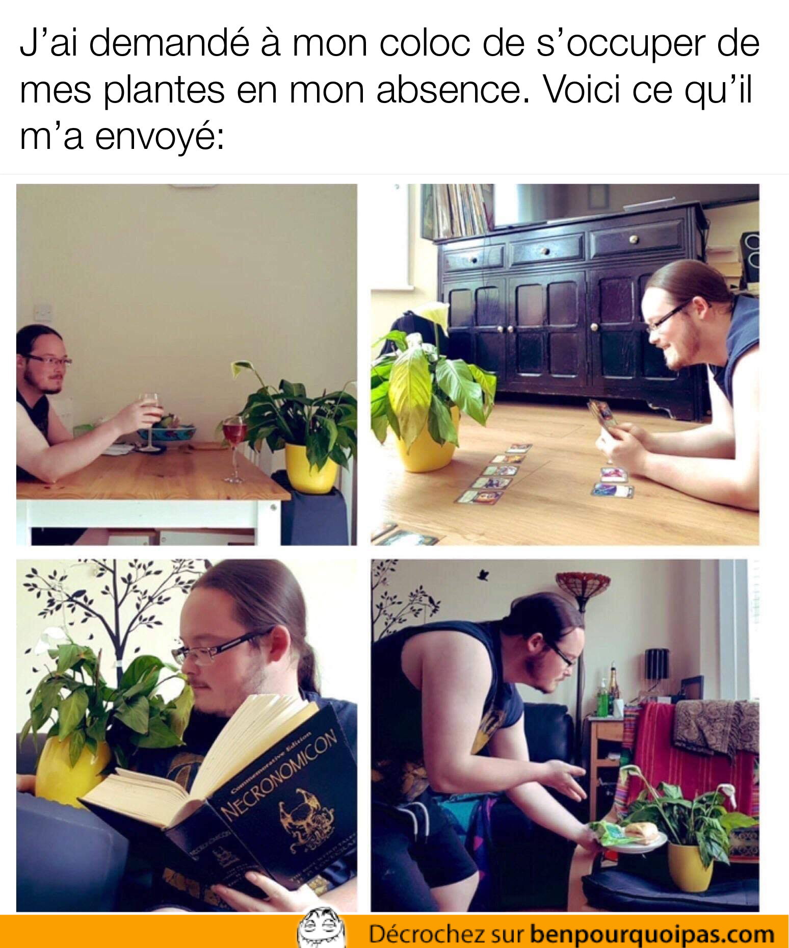 un homme lis une histoire à sa plante