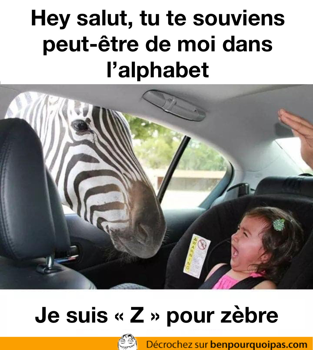 Z pour zèbre, tu te souviens de moi dans l'alphabet?