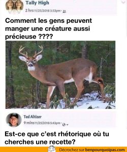 une vegan demande comment les gens peuvent manger de si belle créature et un chasseur lui demande si elle veut une recette