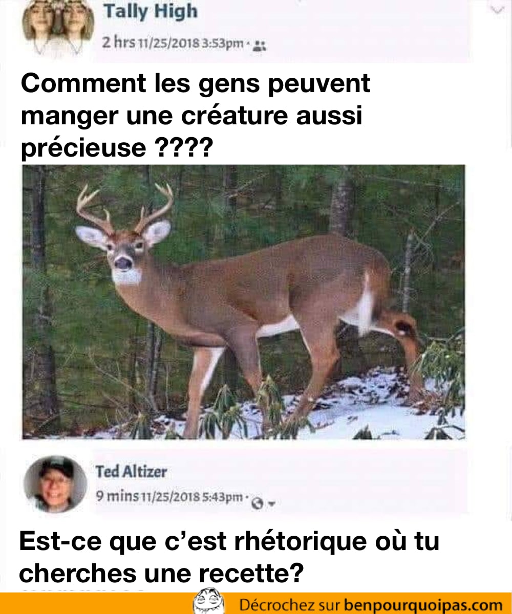 une vegan demande comment les gens peuvent manger de si belle créature et un chasseur lui demande si elle veut une recette