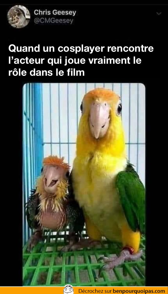 image drole Quand un cosplayer rencontre l'acteur qui joue vraiment le rôle