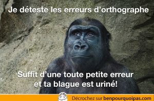 un gorille dit qu'une faute d'orthographe peut uriner une blague