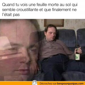 Quand tu crois que la feuille morte sera croustillante mais qu'elle est molle