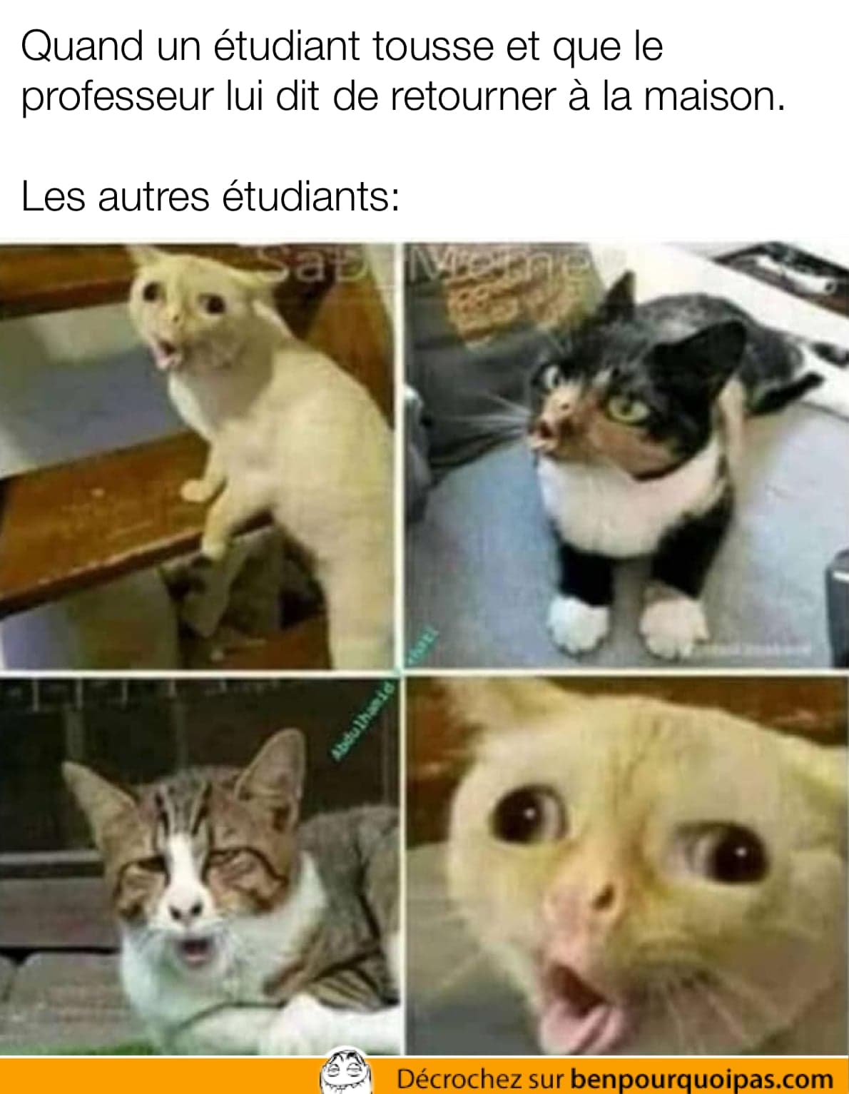 Quand le prof dit à un étudiant de retourner chez-lui parce qu'il tousse