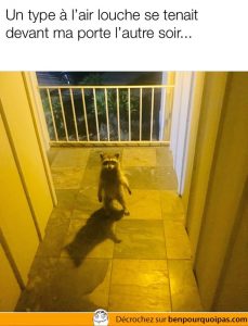 un raton se tiens debout devant la porte