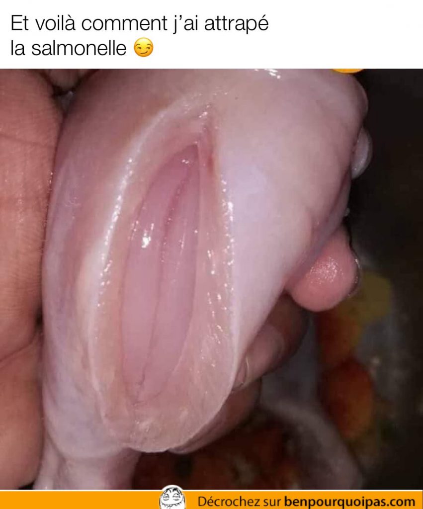 un morceau de poulet ressemble a un vagin