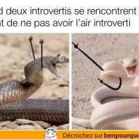Quand deux introvertis se rencontrent et tentent d'avoir l'air extrovertis