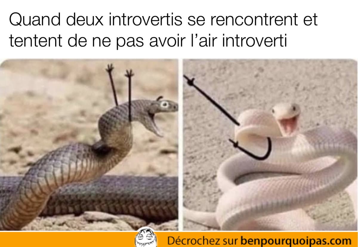 serpents avec des bras dessinés doodles