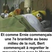 Bert et Ernie et un mauvais coup impliquant du Viagra