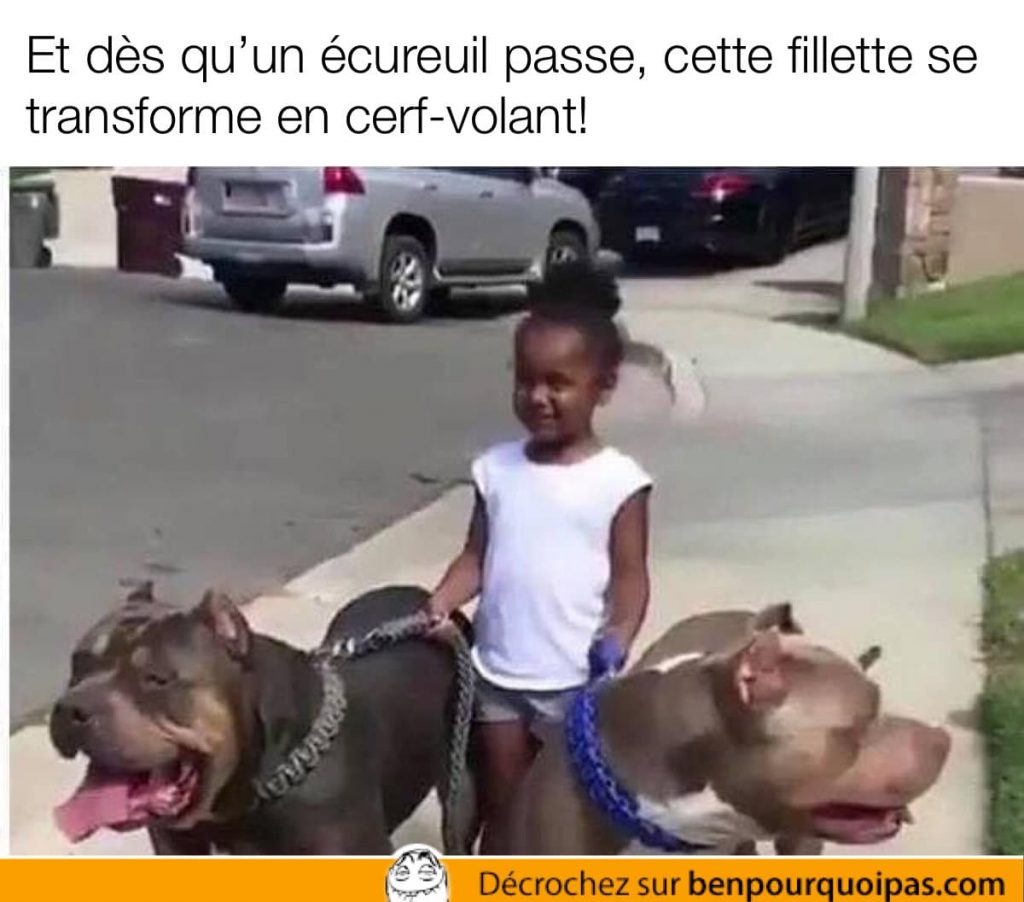 une petite fille avec deux énormes chiens