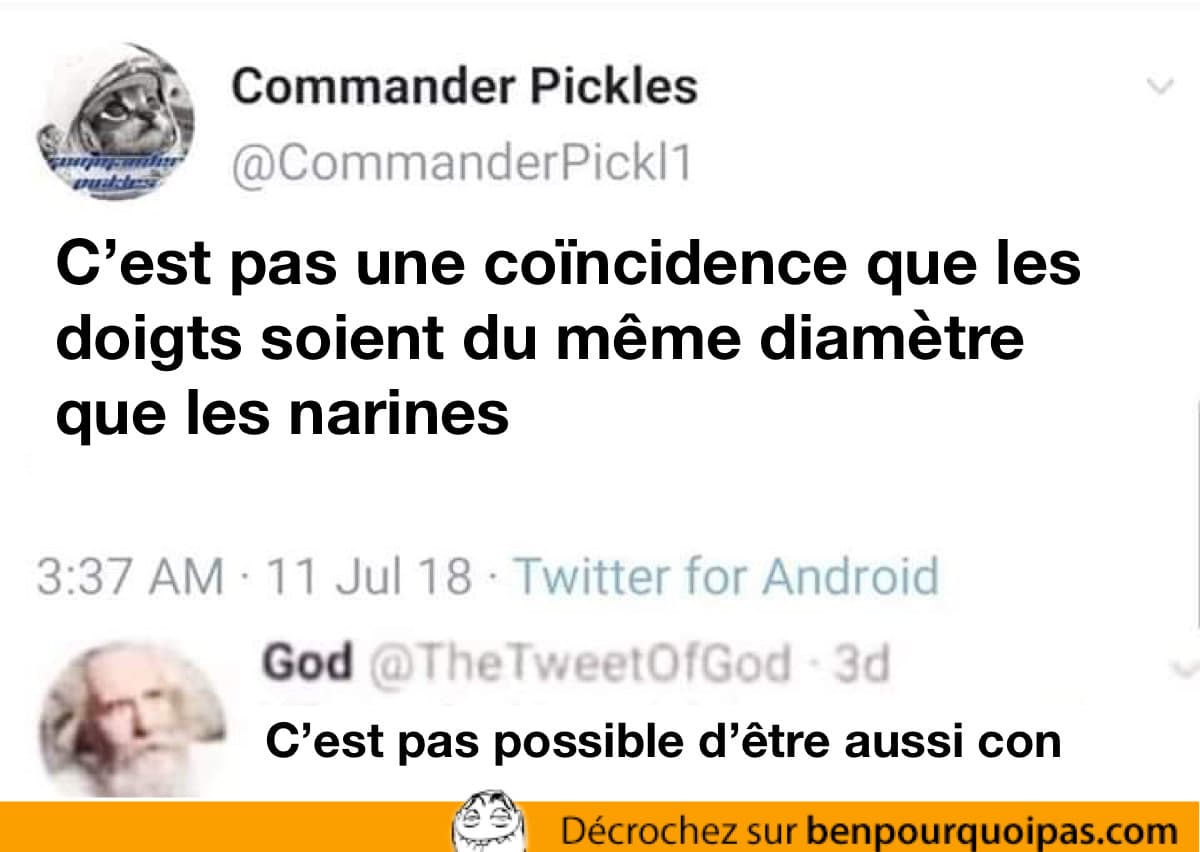 Une coincidence si les doigts sont du même diamètre que les narines?