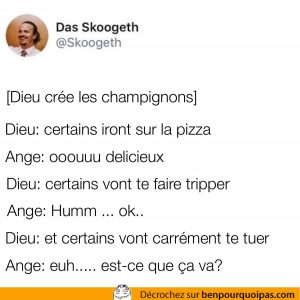 Champignons: certains se mangent, certains te font tripper et d'autres te tue
