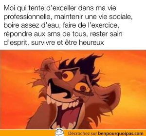 roi lion humour garder le contrôle