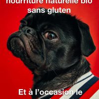 Donner de la nourriture bio à ton chien