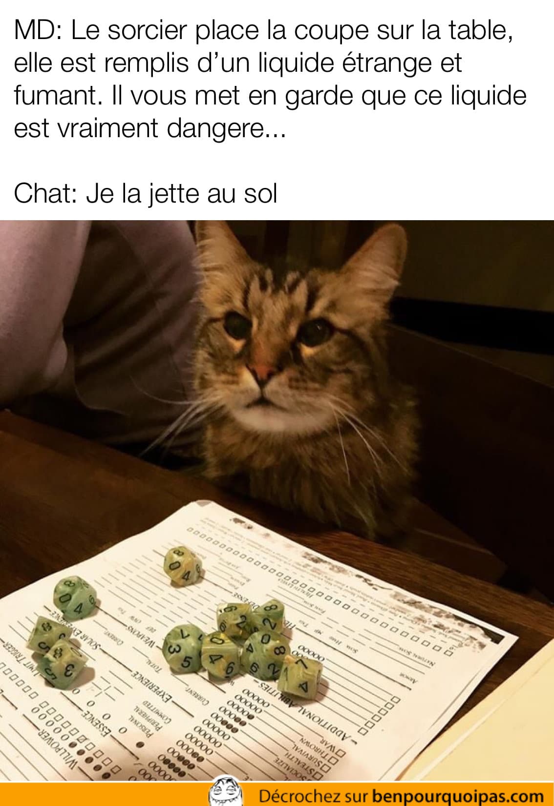 Si Les Chats Jouaient A Donjons Et Dragons Blagues Et Images Droles Ben Pourquoi Pas Humour