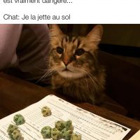 Si les chats jouaient à Donjons et Dragons