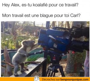 ma carrière est une joke pour toi
