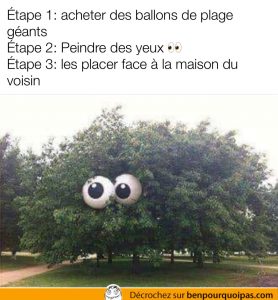 Quand ton voisin est pas toujours commode