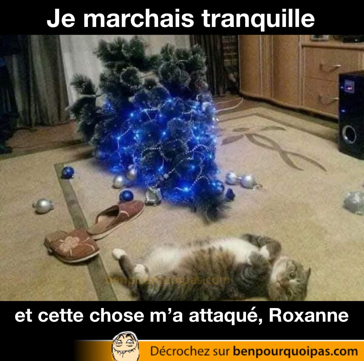 un chat couché à côté du sapin qui est tombé par terre