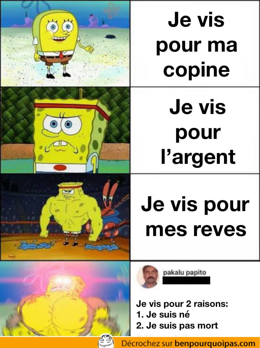 bob l'éponge qui explique ses raisons de vivre