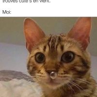 Rester naturel quand le gars que tu trouves beau approche