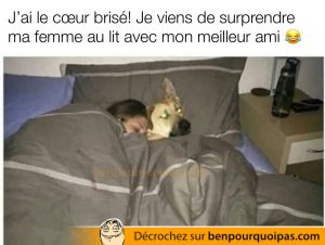 une femme est couché dans son lit avec son chien