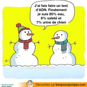 ADN bonhomme de neige est est, saleté et merde de chien