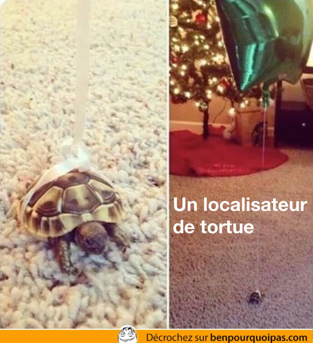 ballon attaché à une tortue