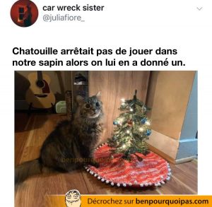 un chat devant son sapin de noel