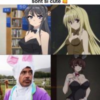 Les filles lapin dans les animés sont si cute...