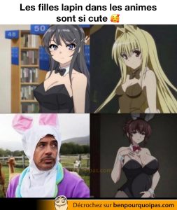 Les filles lapin dans les animés sont si cute...