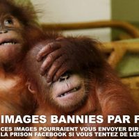 Les images bannies de Facebook - la liste des photos interdites