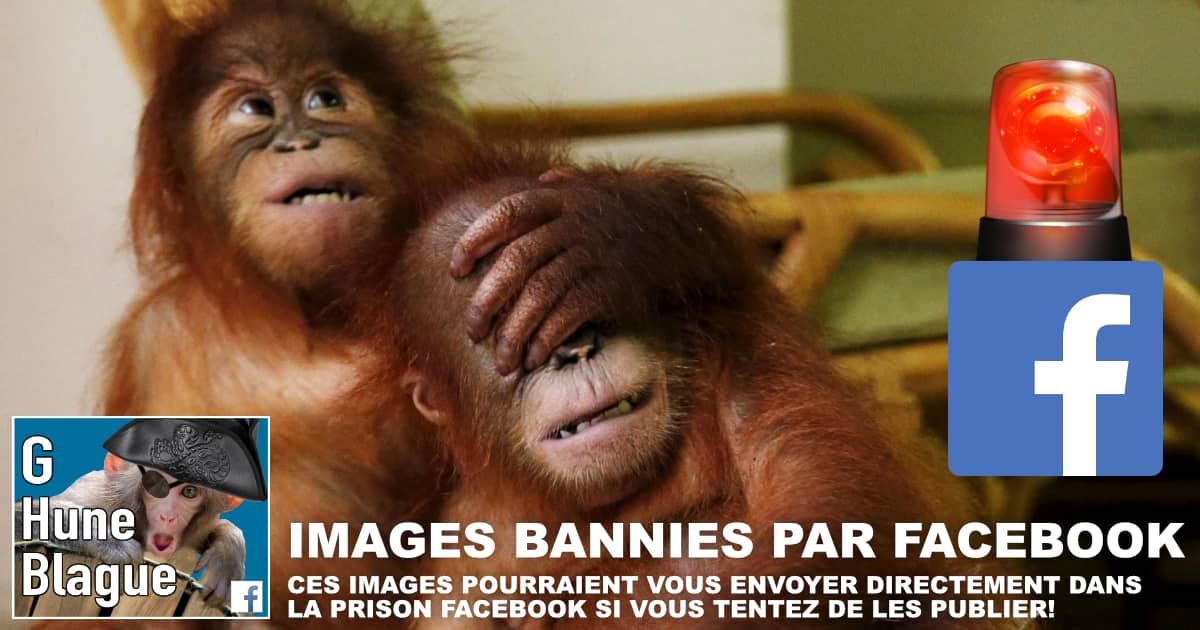 Les Images Bannies De Facebook La Liste Des Photos Interdites Blagues Et Images Droles Ben Pourquoi Pas Humour