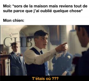 Ton chien quand tu sors mais reviens tout de suite car tu as oublié un truc