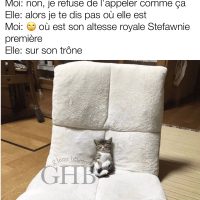 Quand ta chatte est reine dans la maison