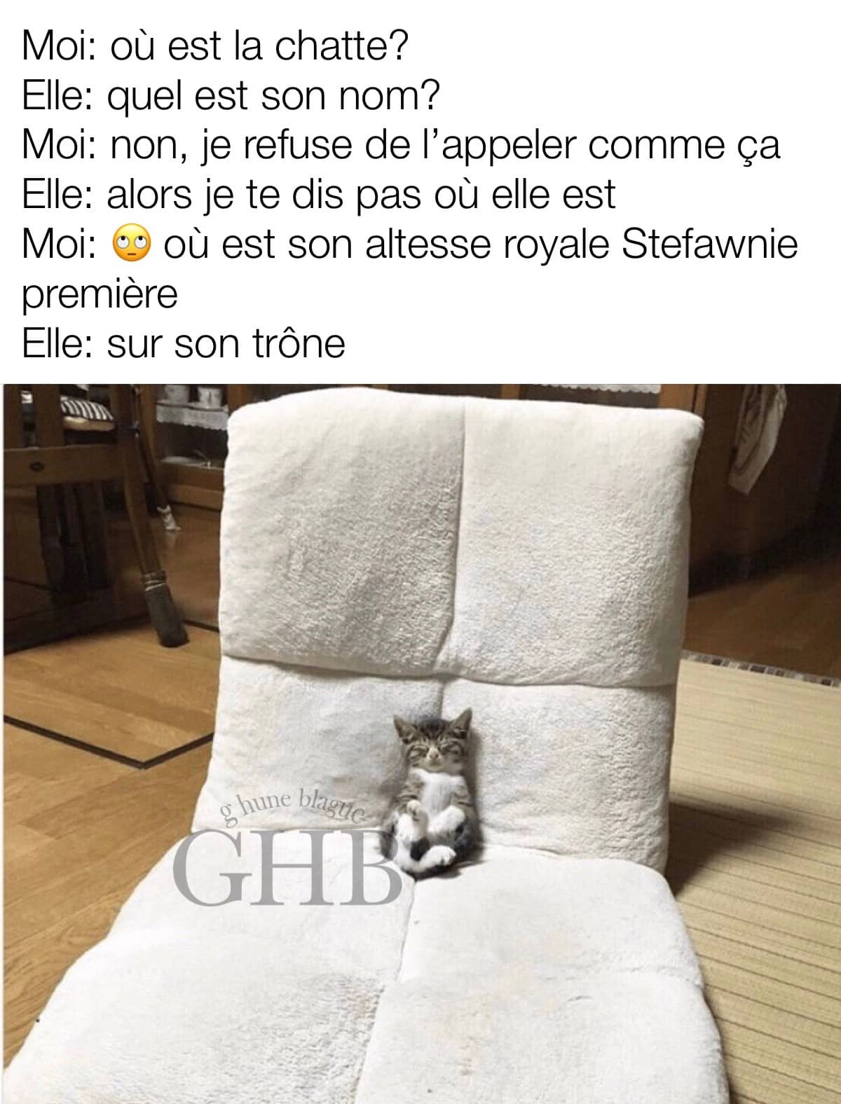 Quand Ta Chatte Est Reine Dans La Maison Blagues Et Images Droles Ben Pourquoi Pas Humour