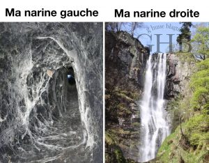 Ma narine droite versus ma narine gauche