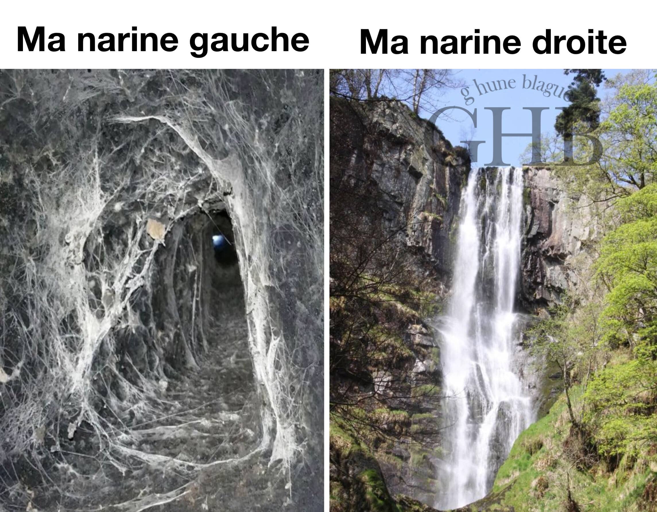 Ma narine droite versus ma narine gauche