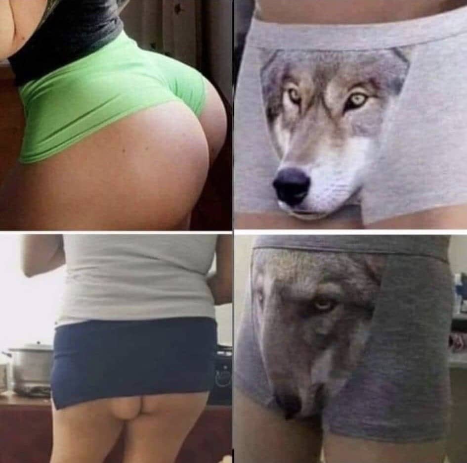 Facebook Ban Image - belles fesses versus fesses affaissées erection avec boxers de loup - benpourquoipas humour