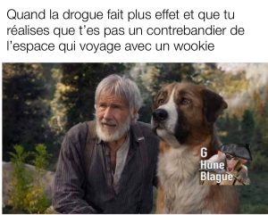 Quand les effets de la drogue s'estompent et que tu réalises que finalement t'es pas un contrebandier de l'espace. Star wars joke han solo