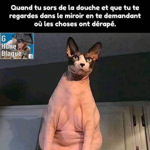Quand tu te regarde dans le miroir en sortant de la douche en te demandant où les choses ont commencé à déraper...